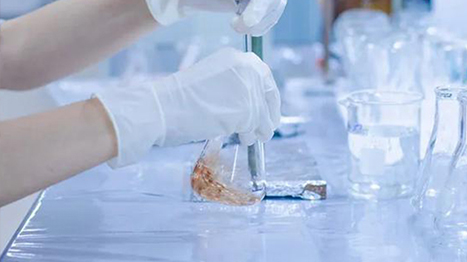 生物降解材料及生物降解测试